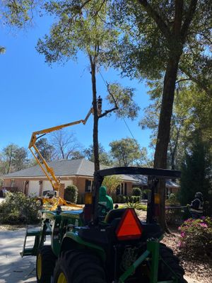 Deerwood Resident | Tree Removal