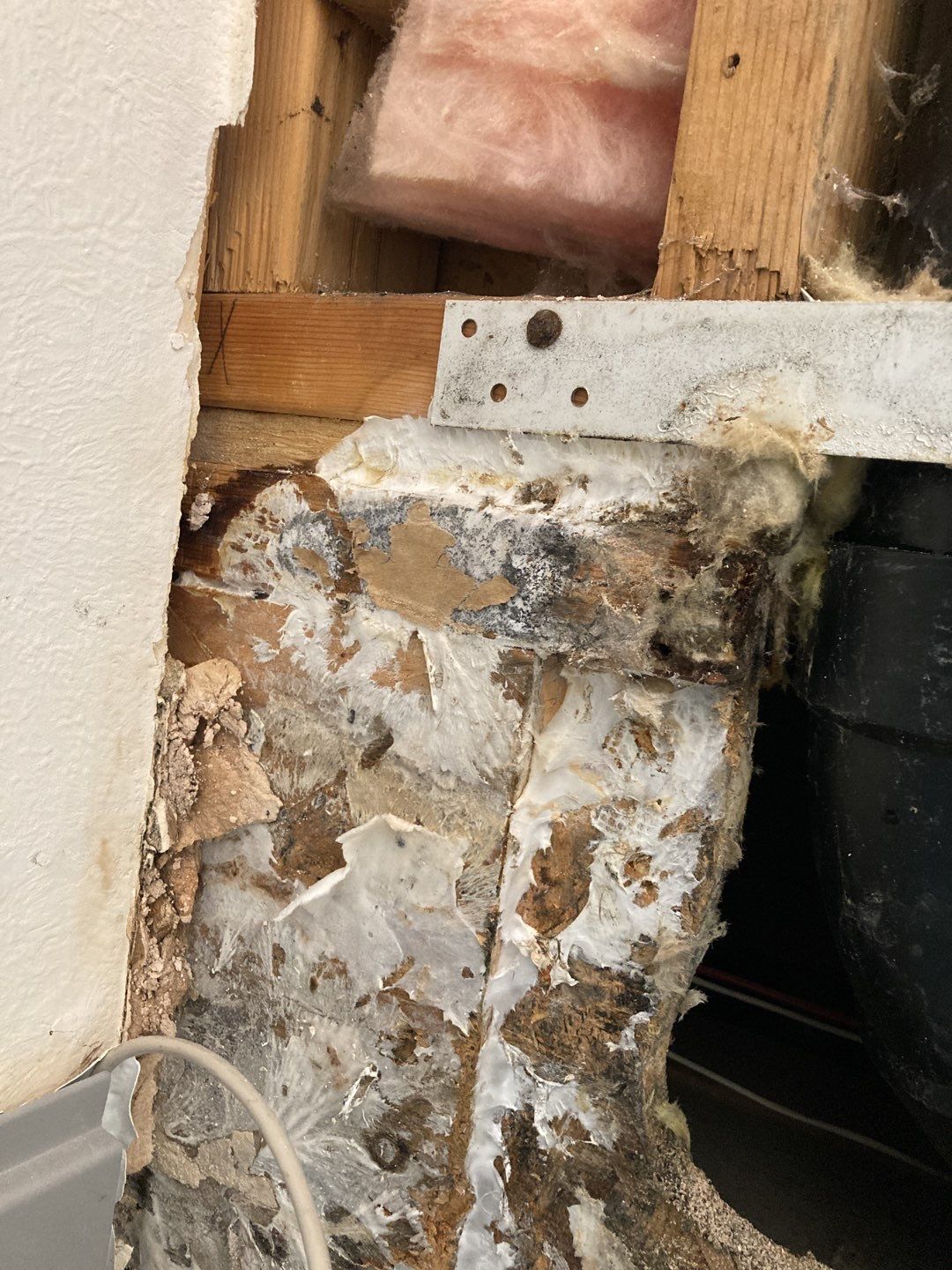 Mold Remediation using Containment by Accountable Home Services