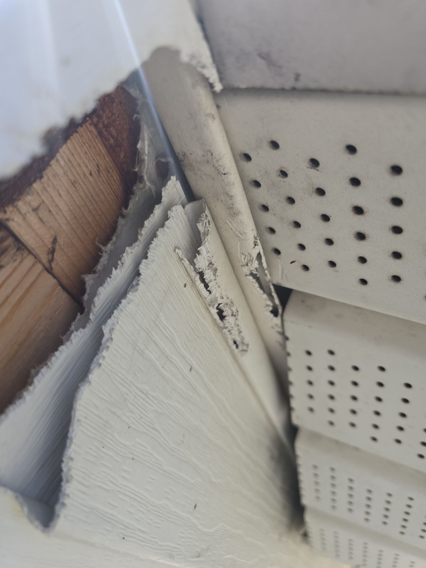 Siding & Soffit Repair — Waltham, MA by Mighty Dog Roofing of Greater Middlesex County