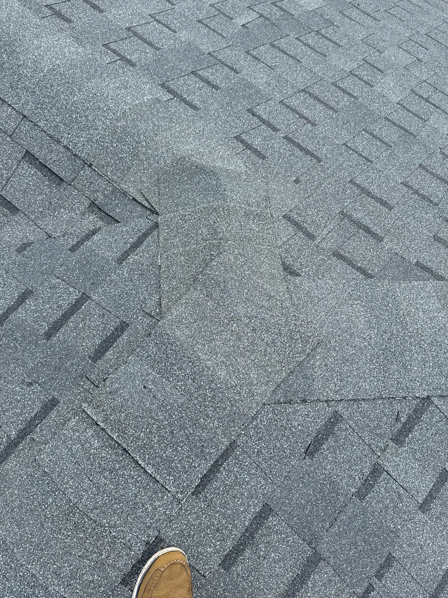 Shingle Reroof Replacement Oak Hill FL by Pinnacle Roofing Group