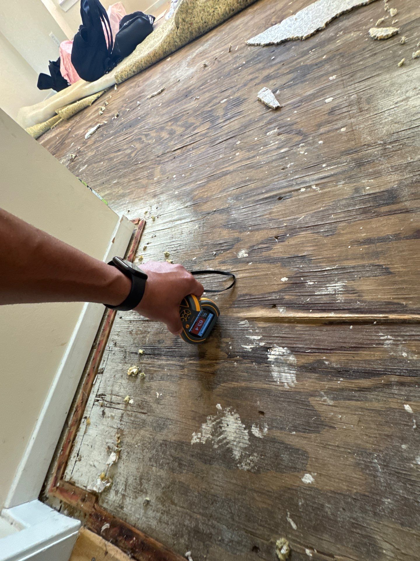 Project in Commerce Twp by EzDry Water Mitigation & Property Restoration