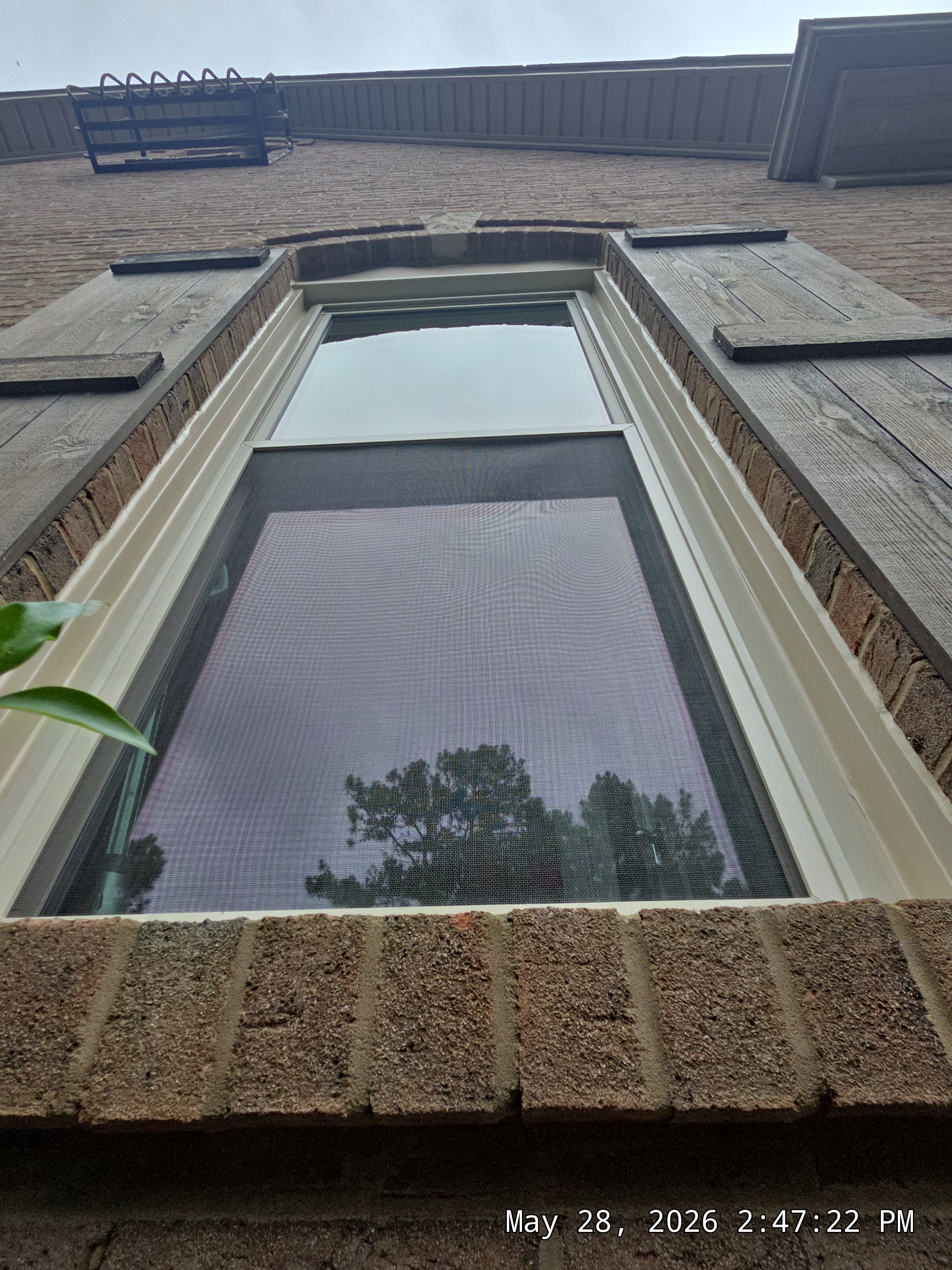 Bruner Project in Helena by The Window Source