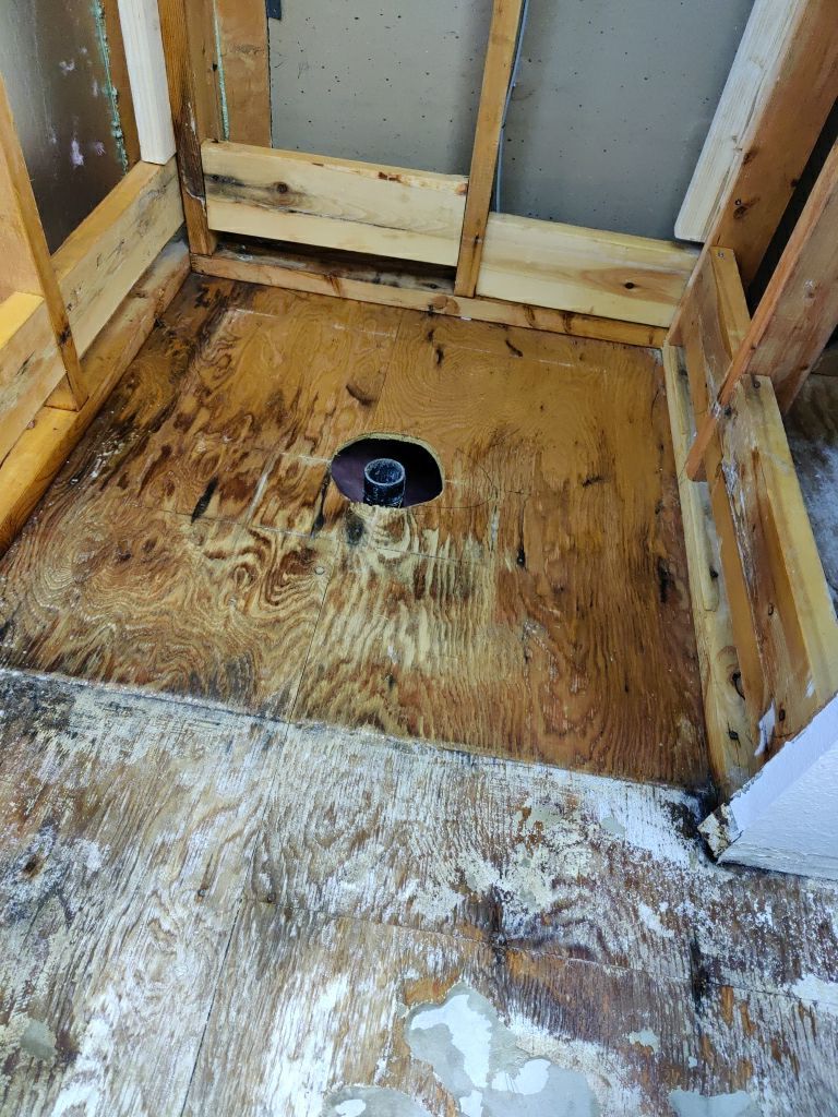 Mold Remediation  by Accountable Home Services