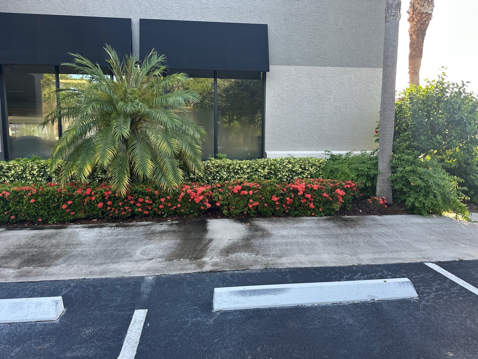 🛏️ City Mattress Refresh — Jensen Beach by Alpha Zeta Enterprises Inc