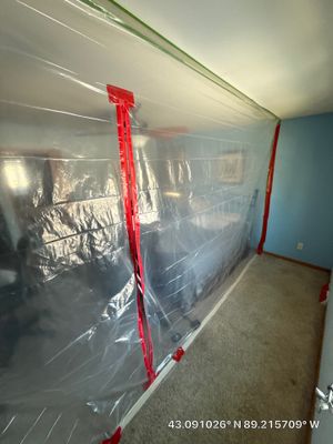 Mold Remediation