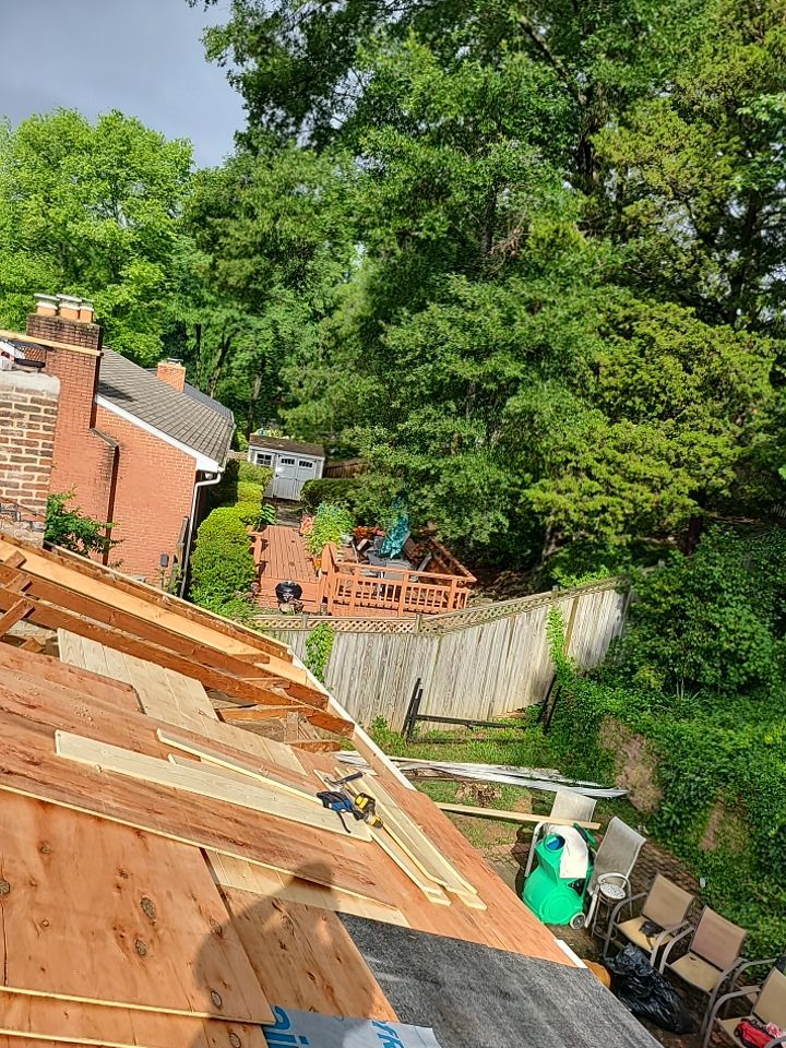 Springfield Tree Damage Restoration: CertainTeed Landmark Designer Shingles in Charcoal Black by RM Banning, Inc.