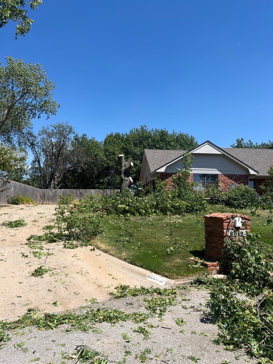 Tree Removals by Clays Services Inc