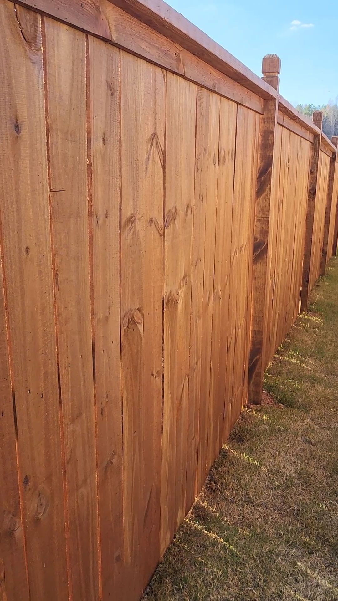 Fence Staining using Chestnut by SSE by Titans of Timber Fence & Stain