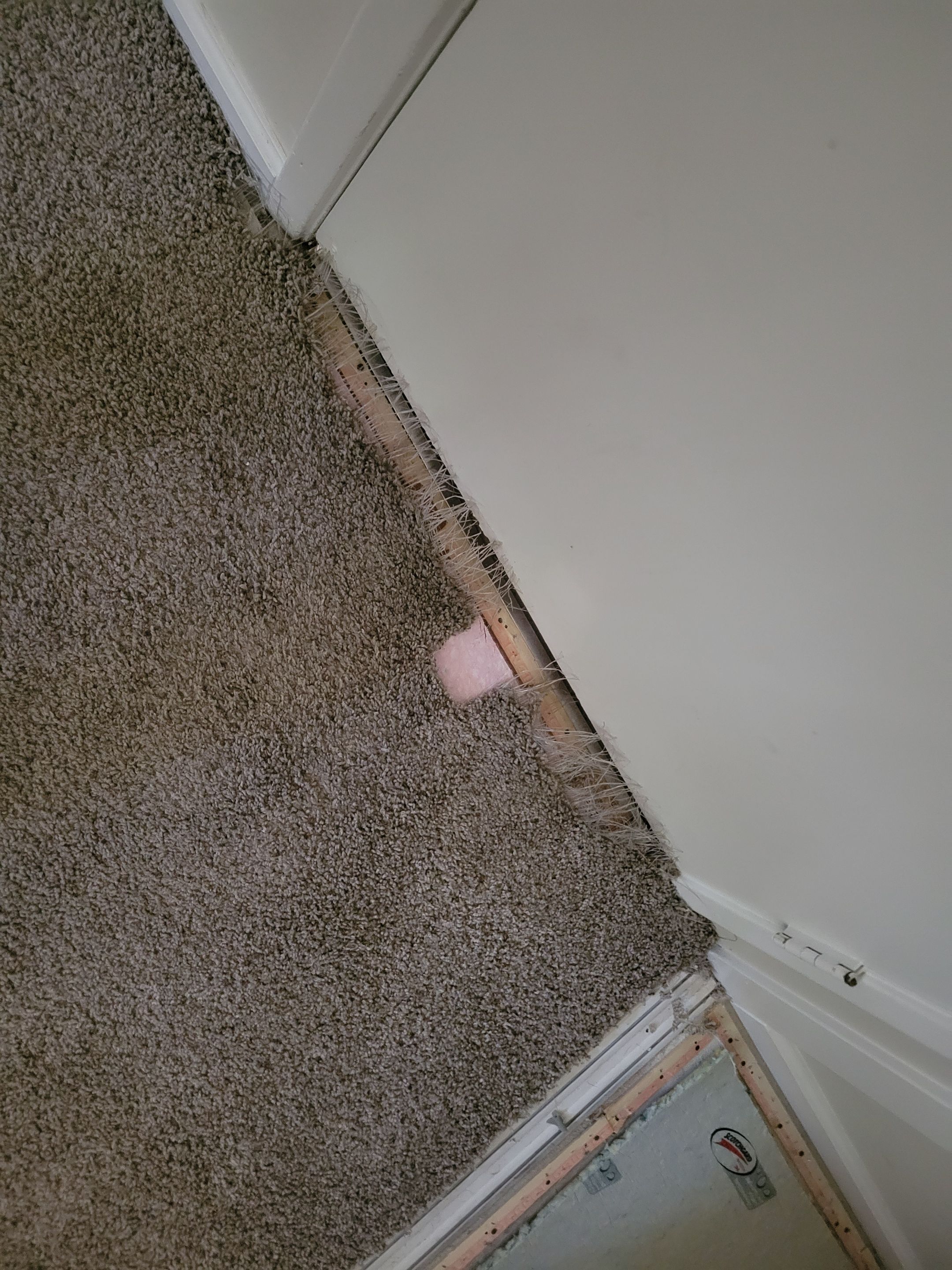 Repairing Carpet Damaged by a Dog by Ardent Carpet Restore LLC