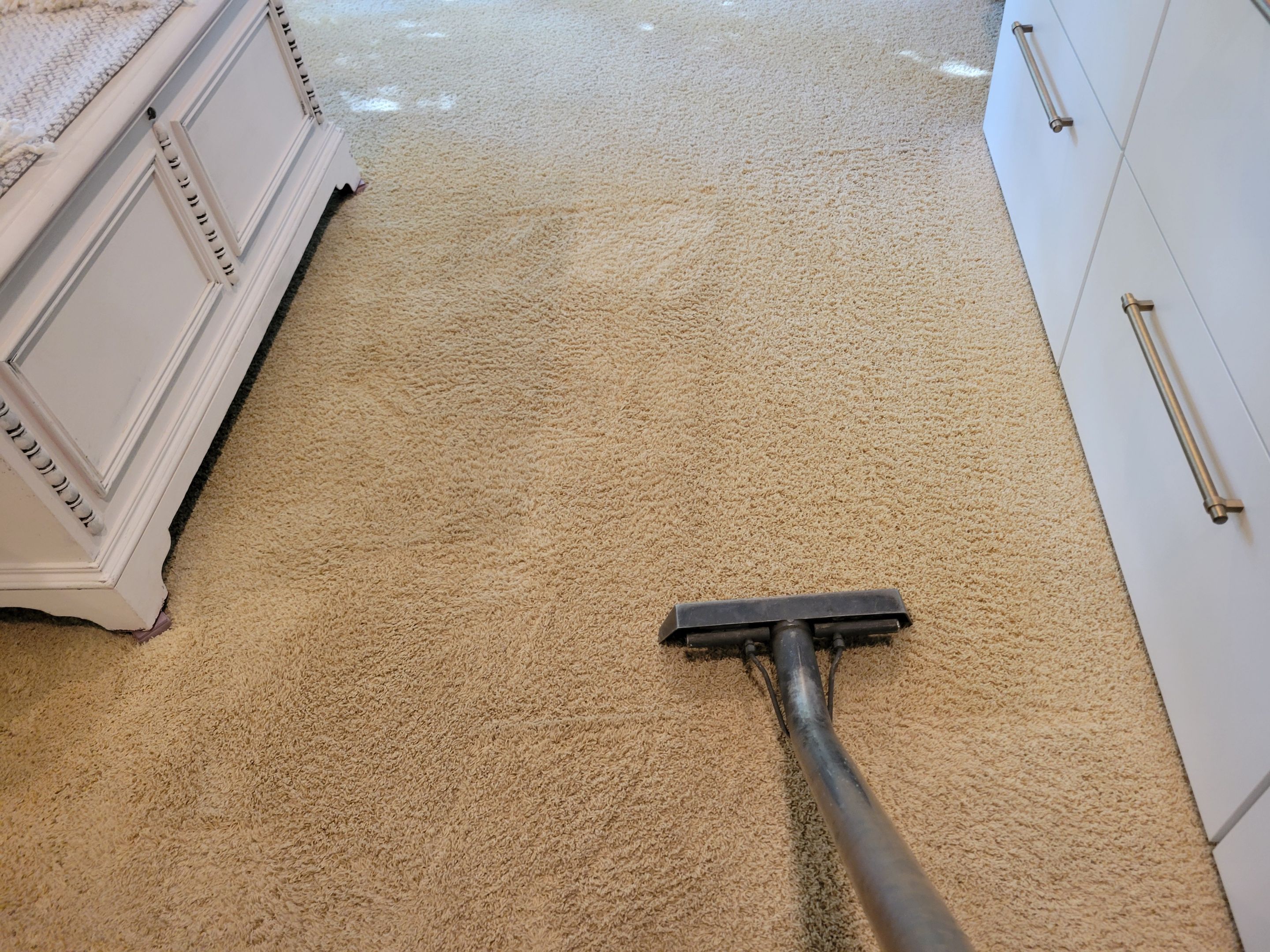 Carpet Cleaning near Shingle Springs by Ardent Carpet Restore LLC