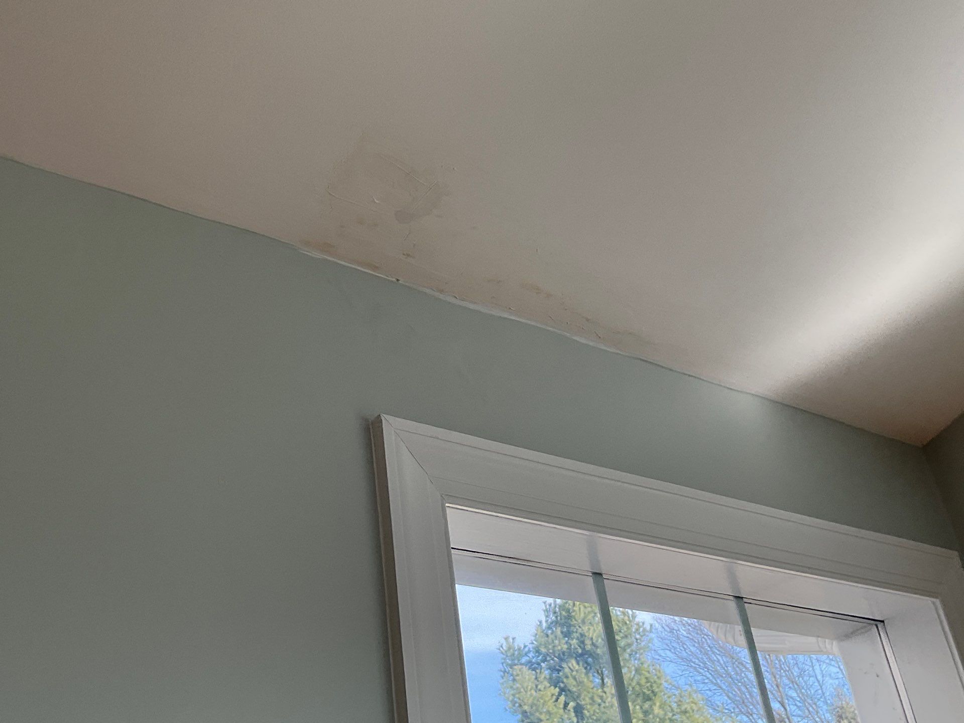 Interior Painting Walls and Ceiling Doylestown, PA by Groovy Hues