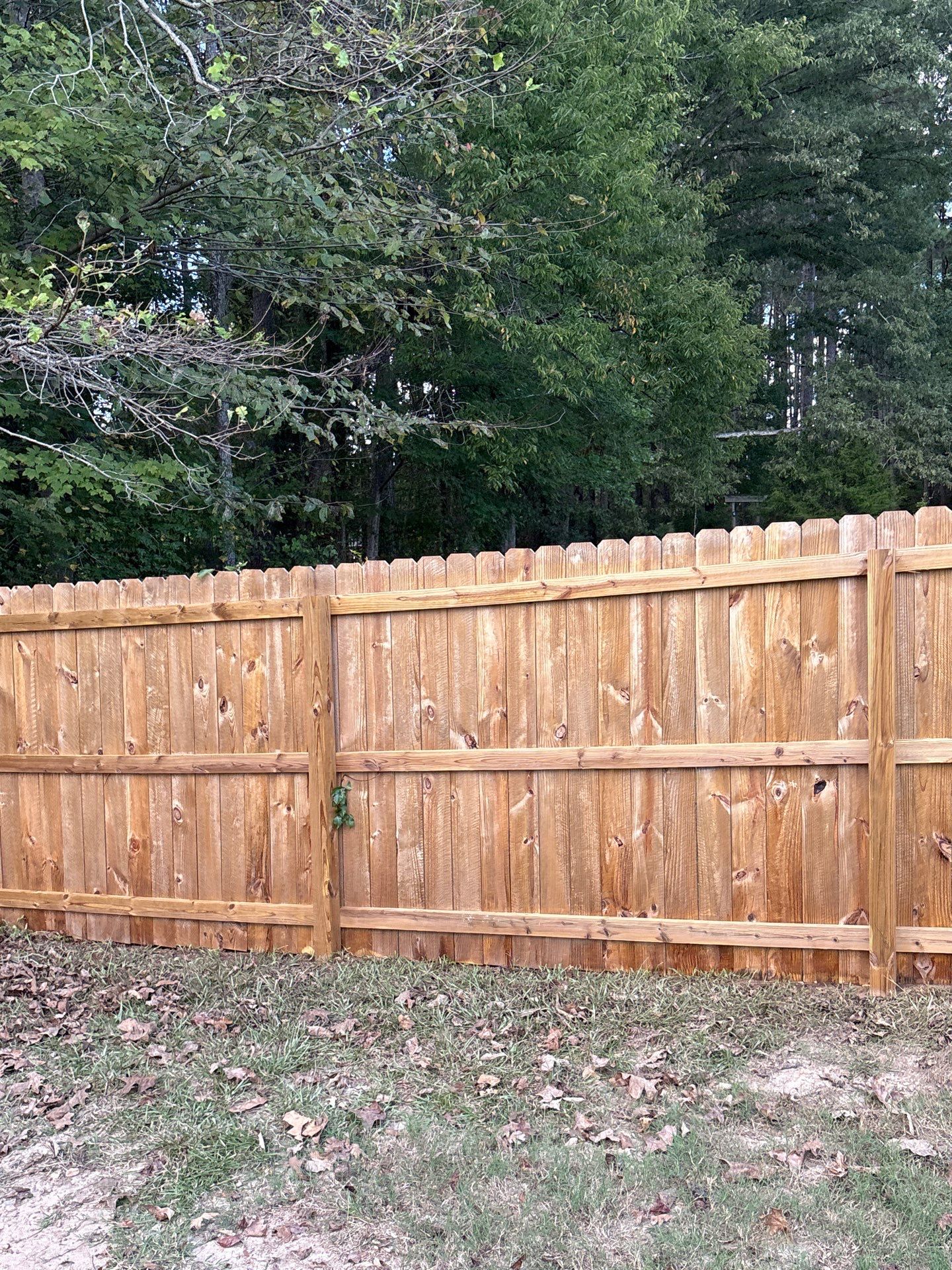 Wood Fence using Wood Sealant by DuraSeal
