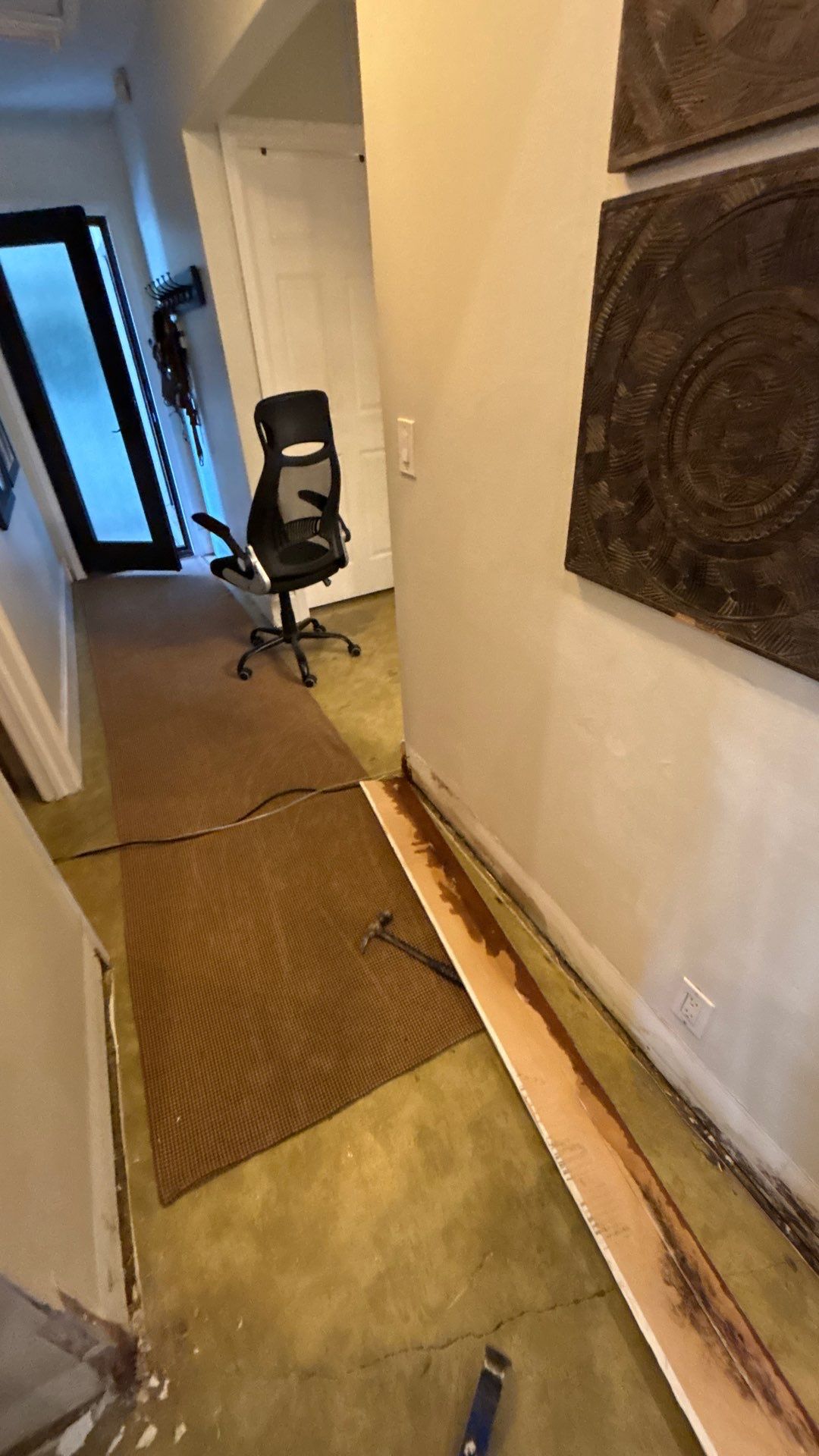 Wellington Water Damage Restoration with Thermal Imaging and Extraction by SuperClean 