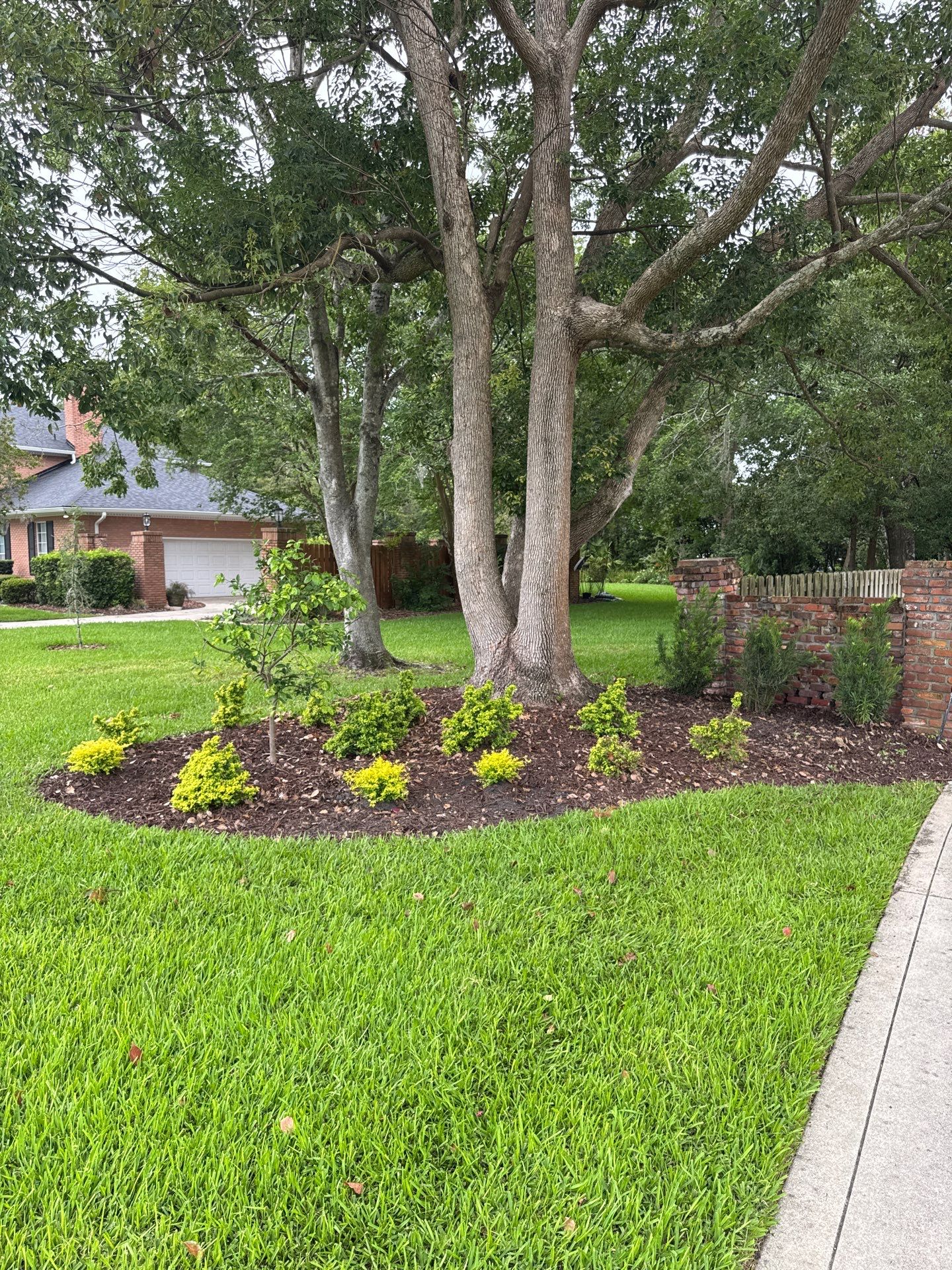 Deerwood Resident | Sod & Plant Installation by ProGreen Services