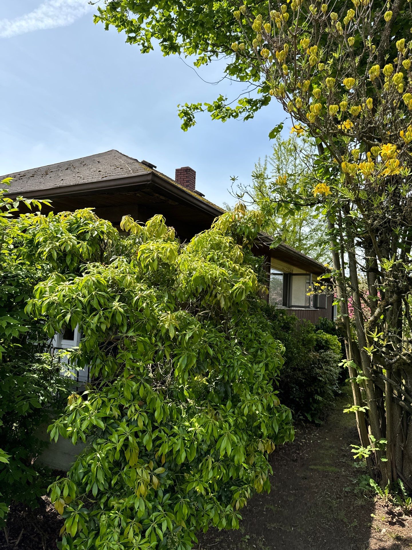 Project in Everett by Peaks and Valleys Construction