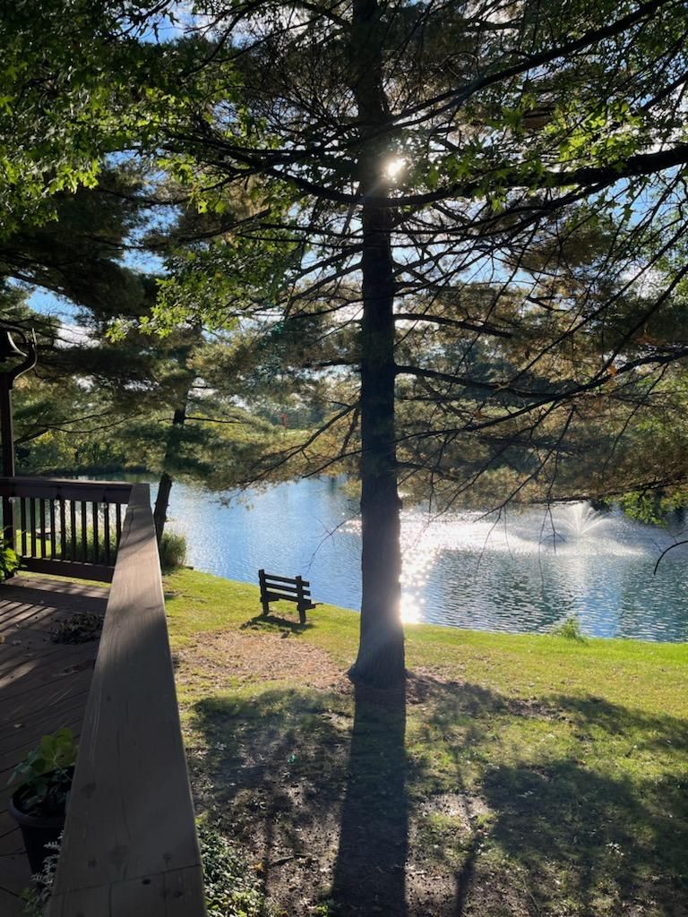 Tree Trimming using Tree Pruing by Mike Jones & Sons Tree Service LLC 