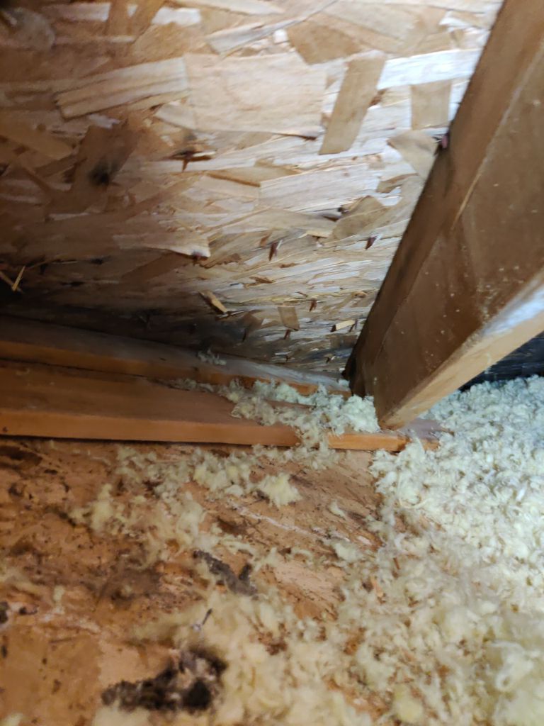 Mold Remediation Cleanup in Attic by Accountable Home Services