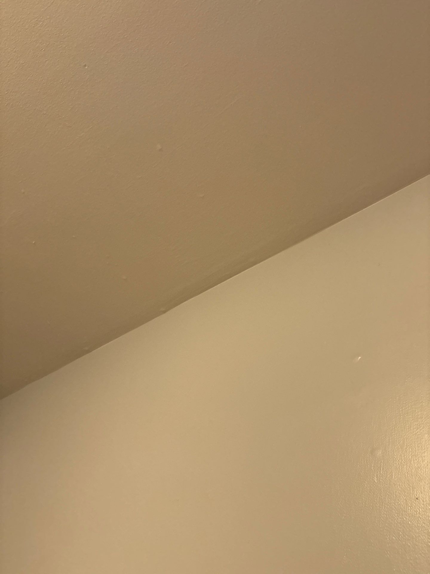 Flush-Mount Lighting and Interior Fixture Installation in Denver by CompanyCam Sales Demo