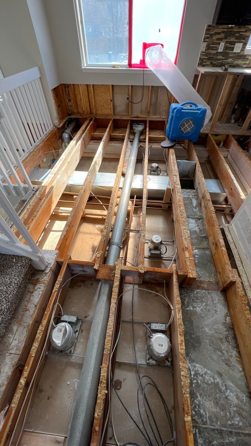 Mold Remediation by Accountable Home Services