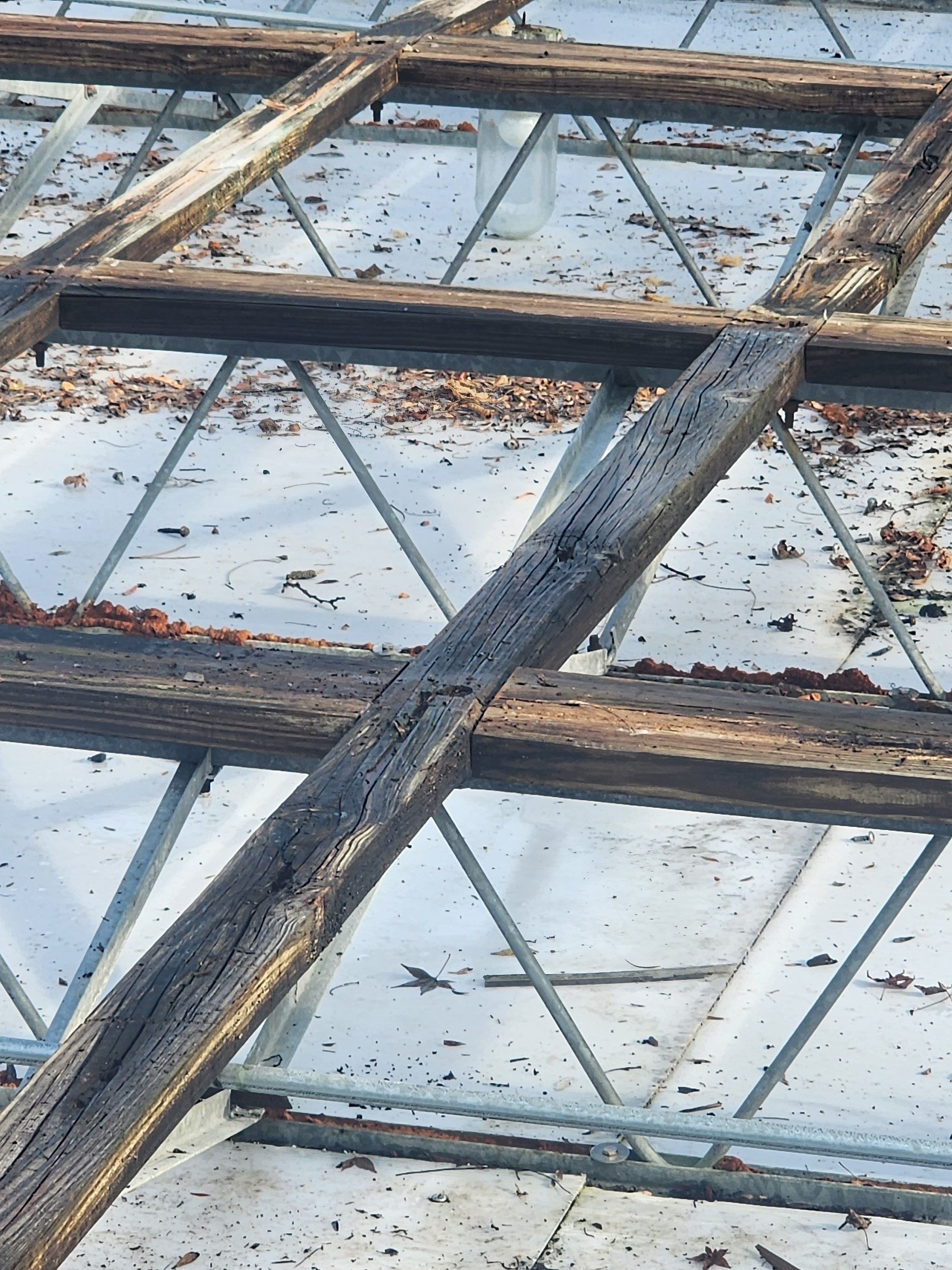 Greenhouse Roof Replacement and Structural Framing Repair in Centerville by Level Up Roofing and Restoration Services LLC