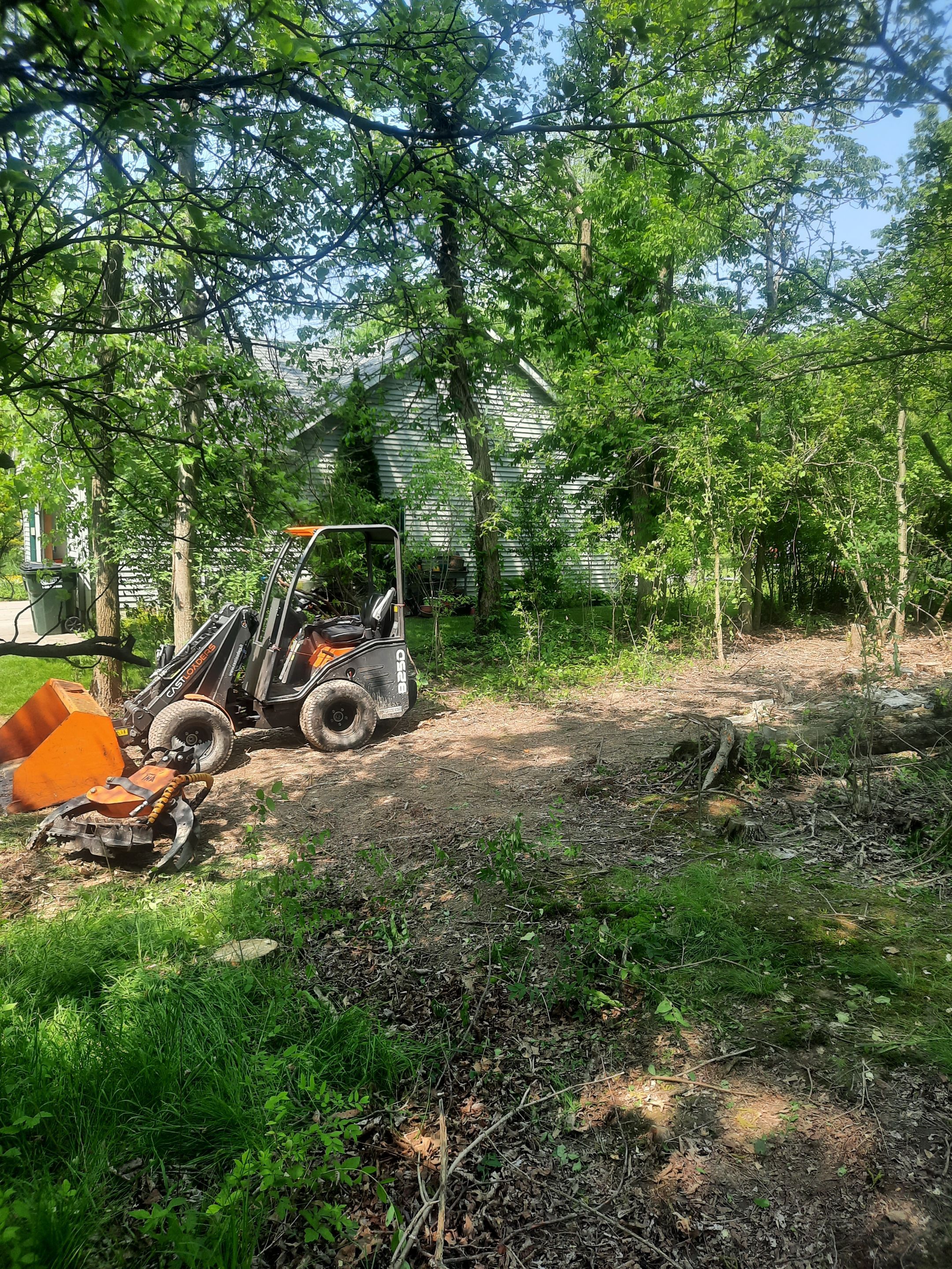 Tree Removal using Tree Removal by Mike Jones & Sons Tree Service LLC 