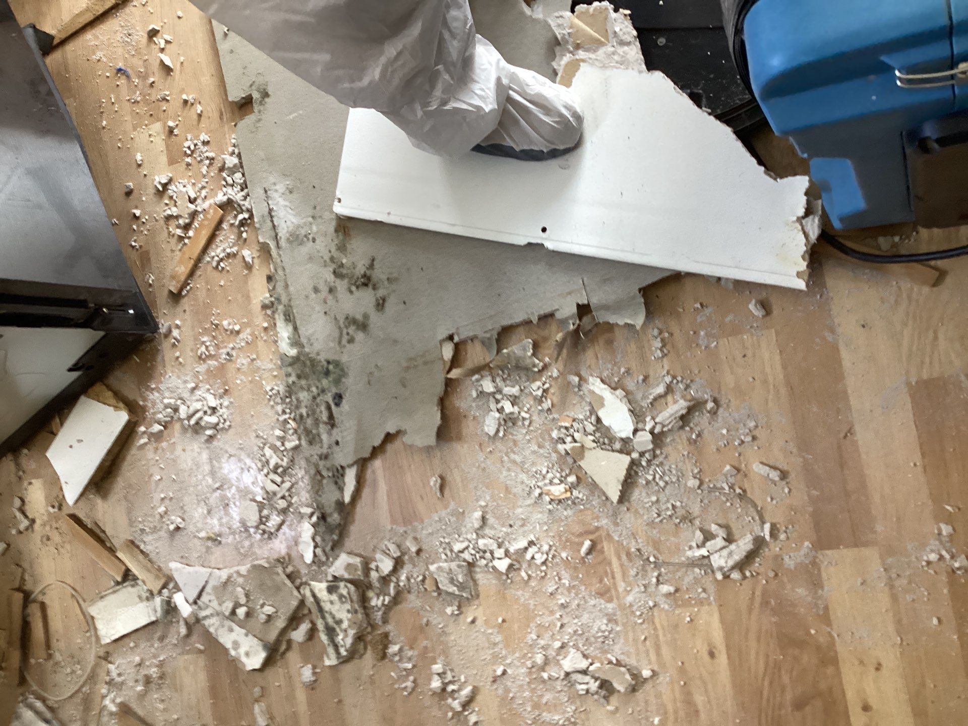 Comprehensive Mold Remediation and Kitchen Restoration in East Islip by Newhouse Restoration
