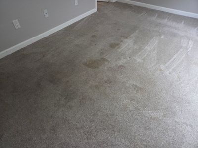 Carpet Cleaning and Stain Removal in Tallac Village