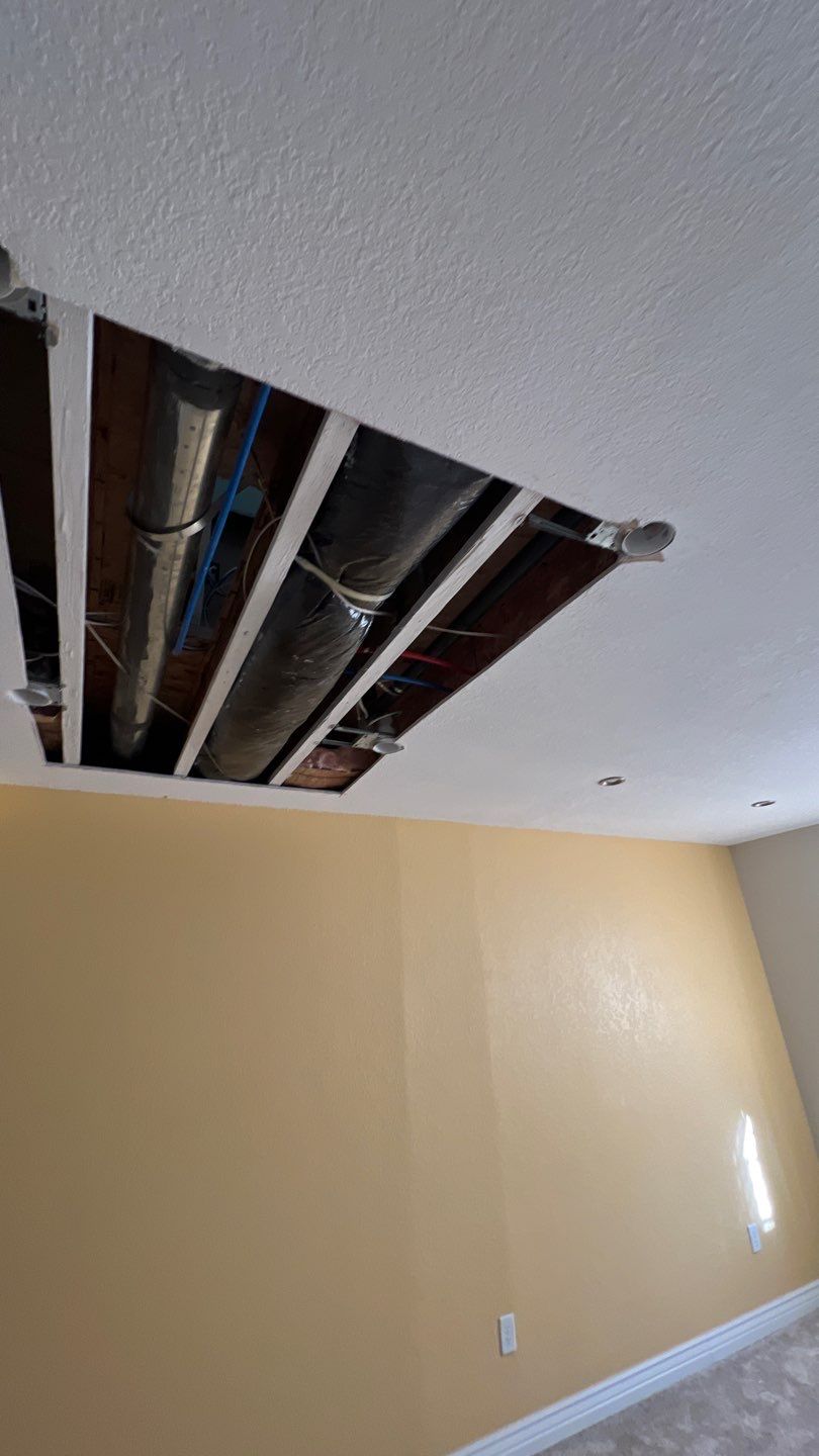 Mold Remediation by Accountable Home Services