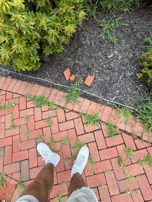 Window Cleaning in Montgomery, NJ — Gallo Bros job photo