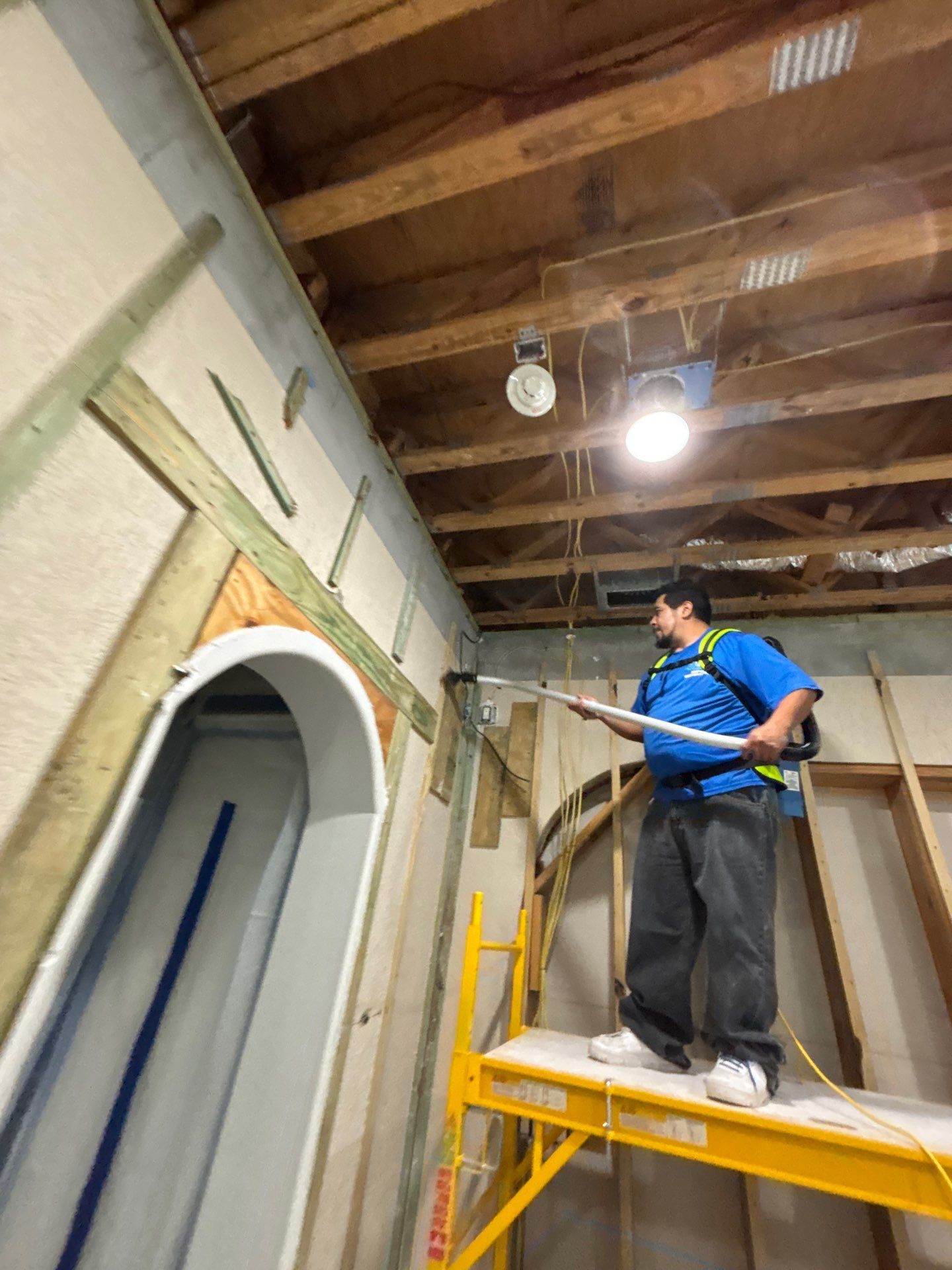 Mold Removal & Remediation In Sarasota by Ampm Restoration Services