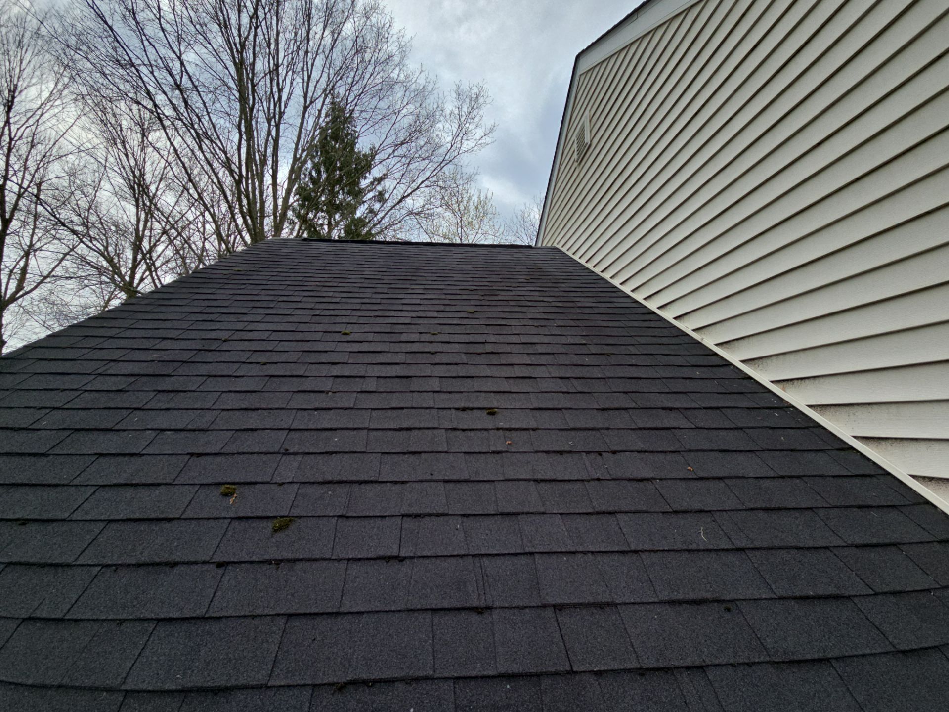 Abby D: Atlas Pinnacle, Color, Black Shadow, Drip Edge, Black by Eagle Eye Roofing