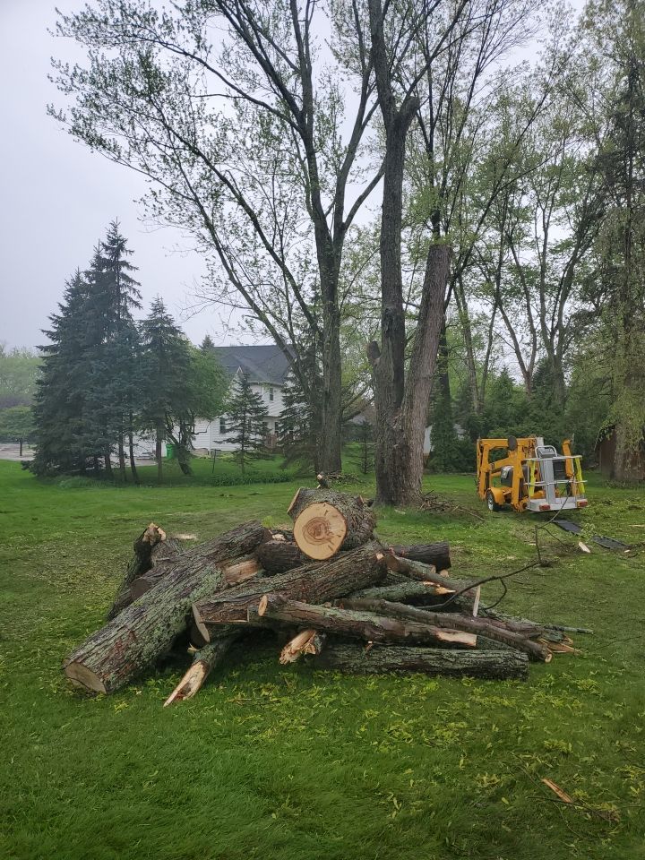Tree Removal using Tree Removal by Mike Jones & Sons Tree Service LLC 