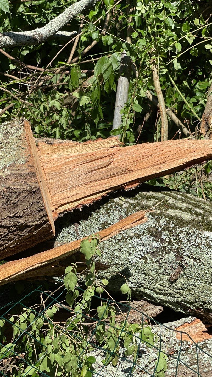 Wind Damage Roof Replacement | Brookhaven, GA | USAA Insurance Restoration by Mosaic Roofing Company