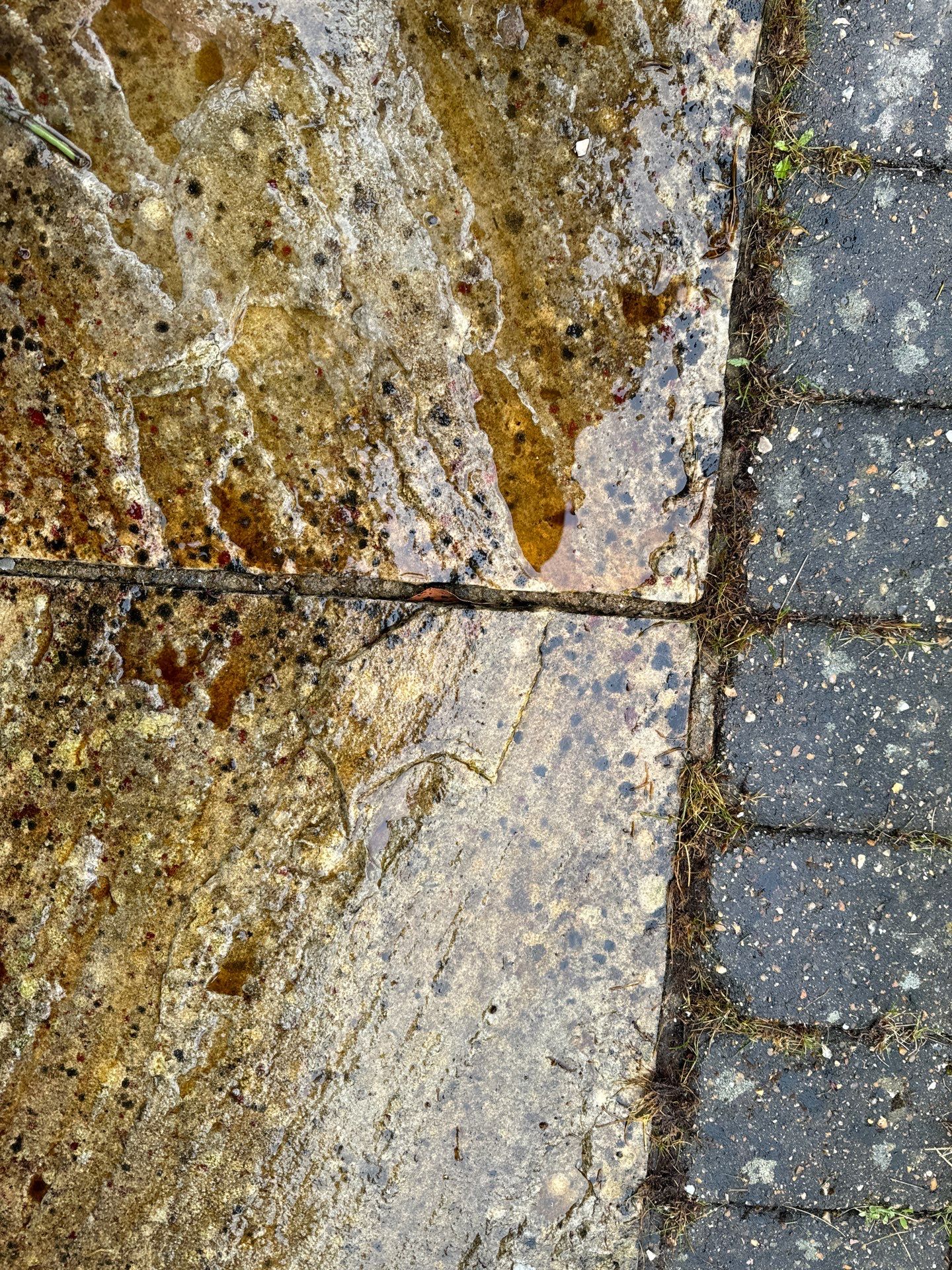 Exterior Clean - Roof - Patio - Driveway using honda 21 ltr/min by Ges Exterior Cleaning ltd