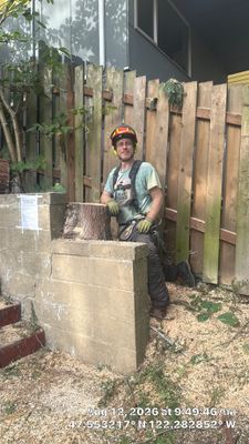 Seattle Tree Removal, Tree Pruning & Overgrown Backyard Cleanup