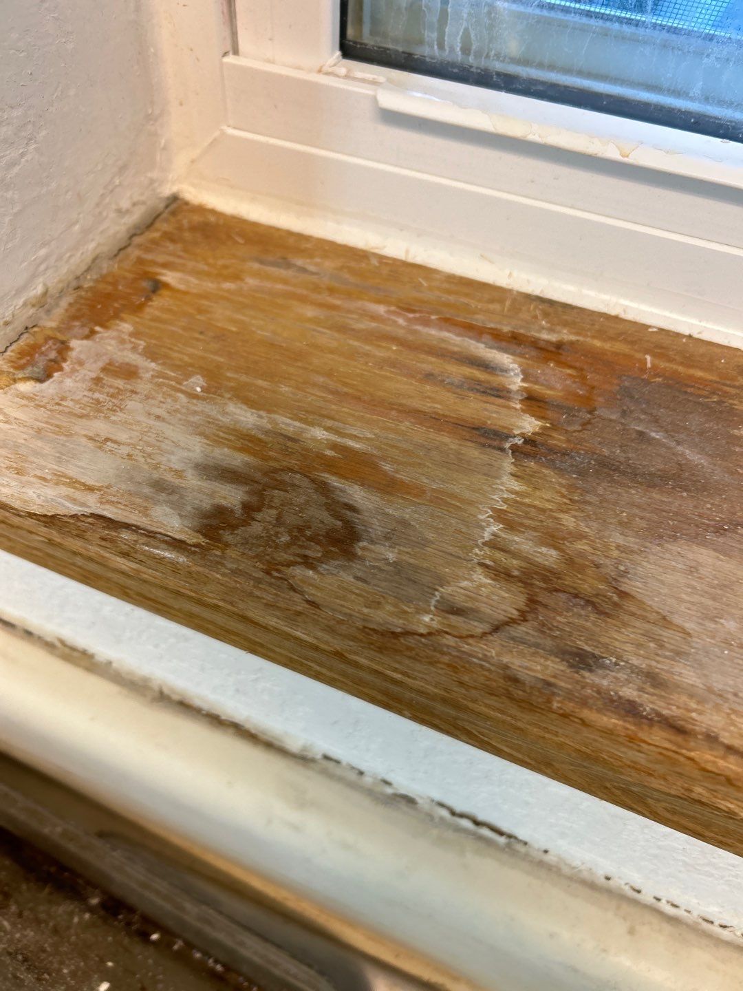 Water Damage by Accountable Home Services