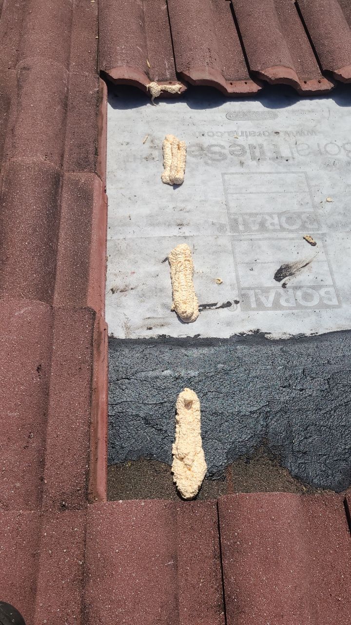 Tile Roof Repair in Hollywood ā Precision, Professionalism, and Quality Work by Aastro Roofing