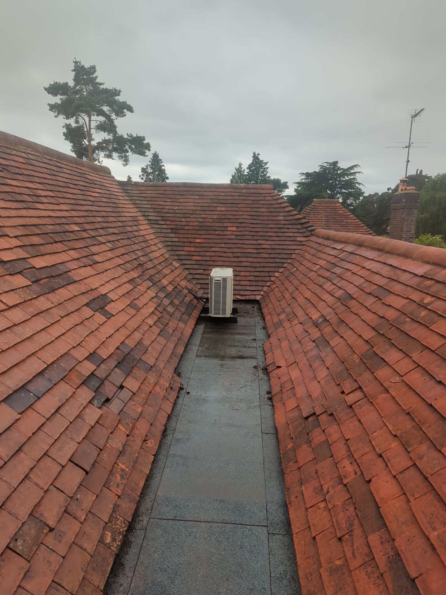 Roof Clean - Biocide Treatment using Honda 15lpm Low Pressure Washing Machine by Ges Exterior Cleaning ltd