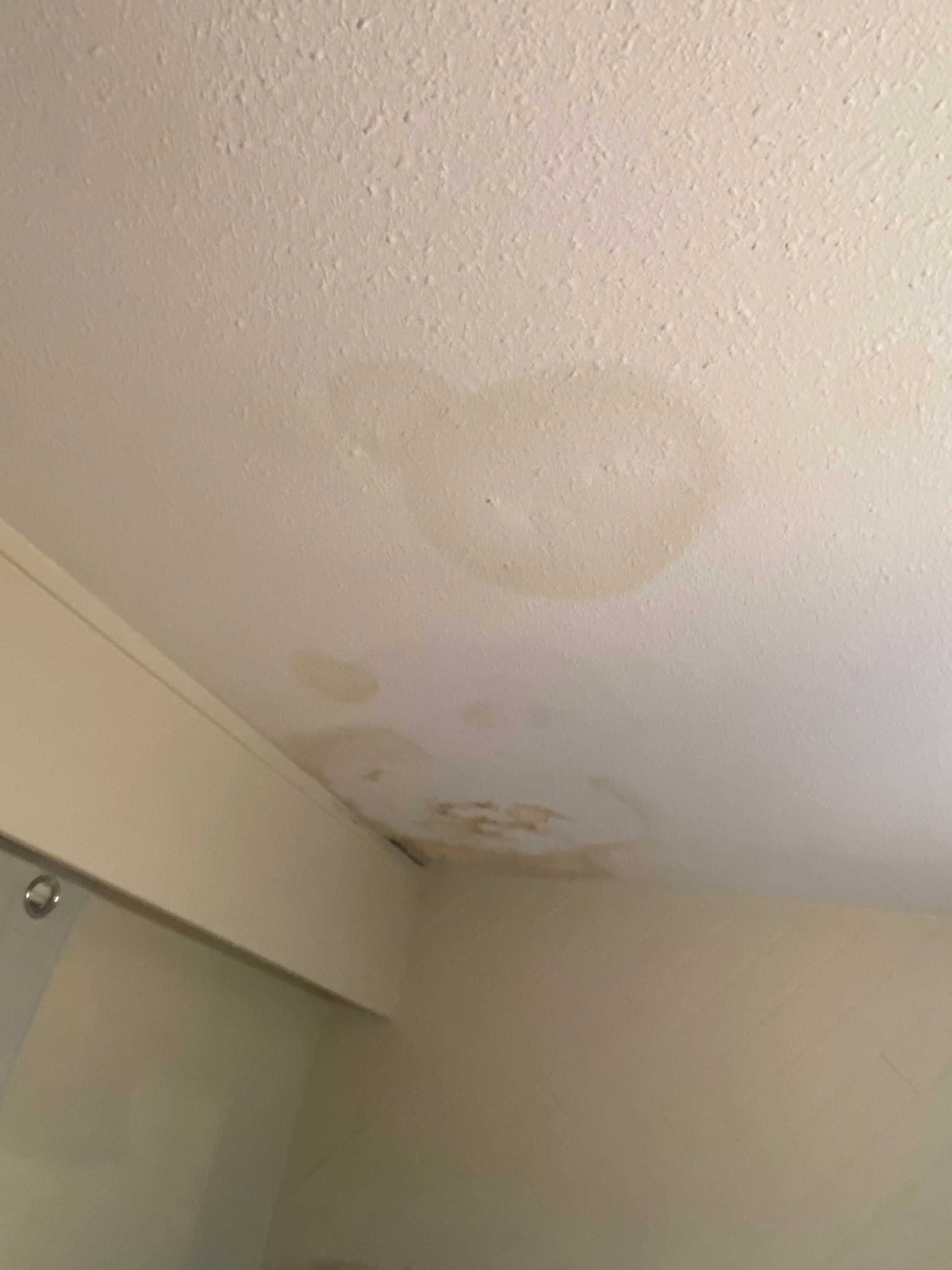 Ceiling Repair by YVR Construction Group