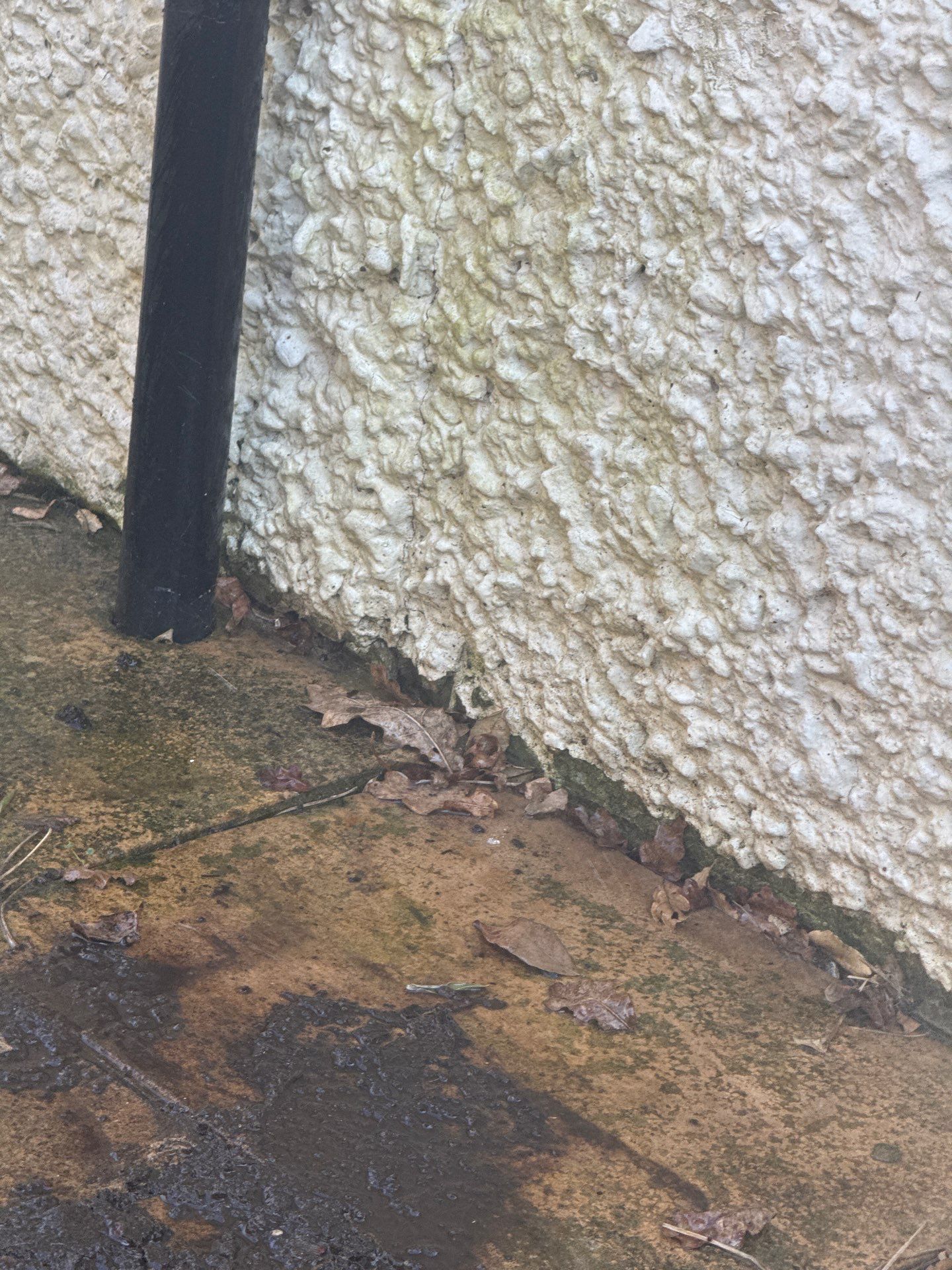 Render Clean using Pureseal Biocide by Ges Exterior Cleaning ltd