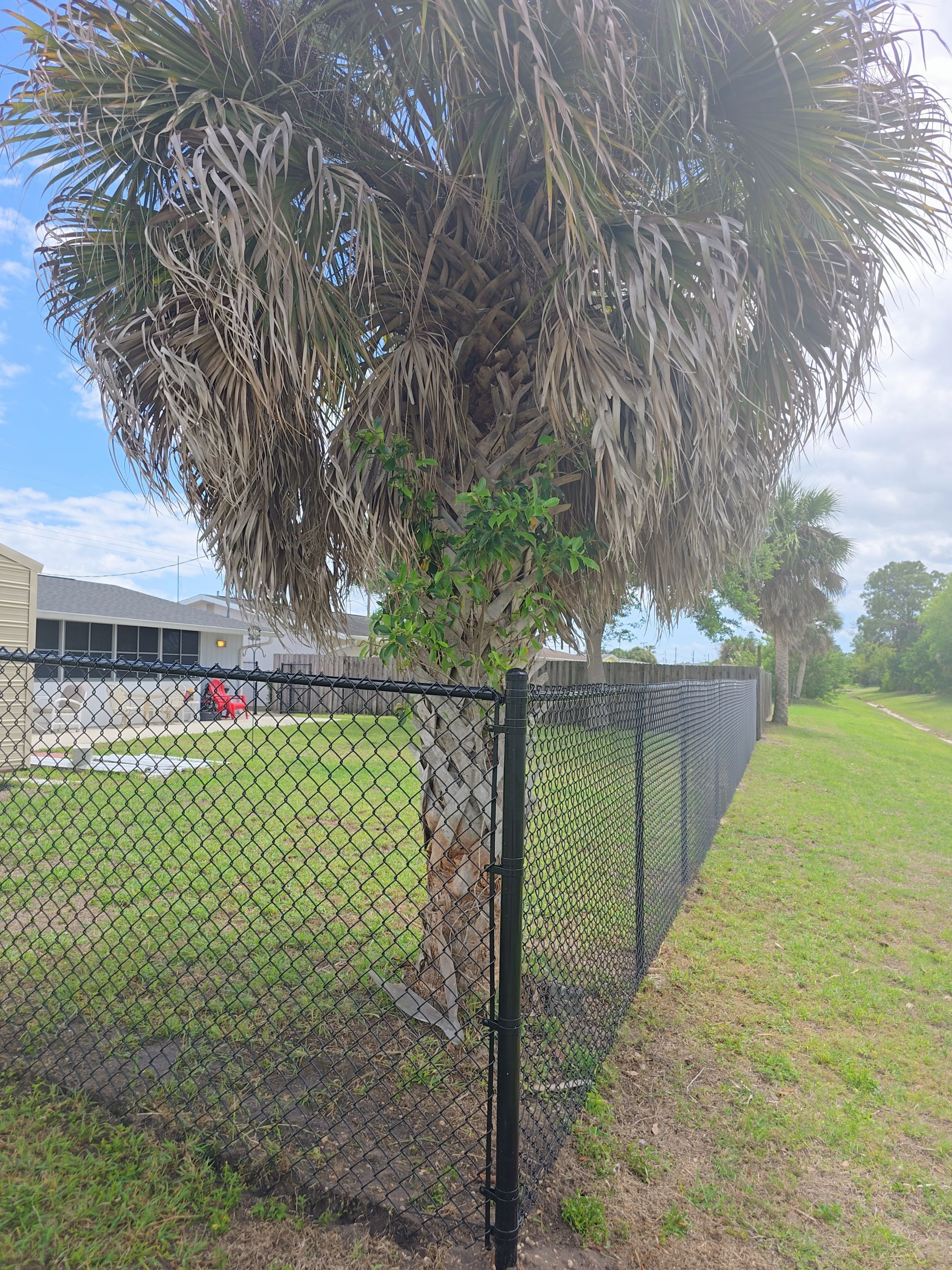 Chain Link Installation in North Port by True Fence LLC