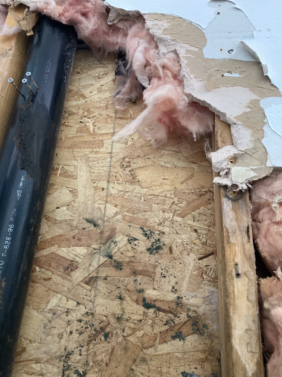 Mold Remediation using Containment by Accountable Home Services