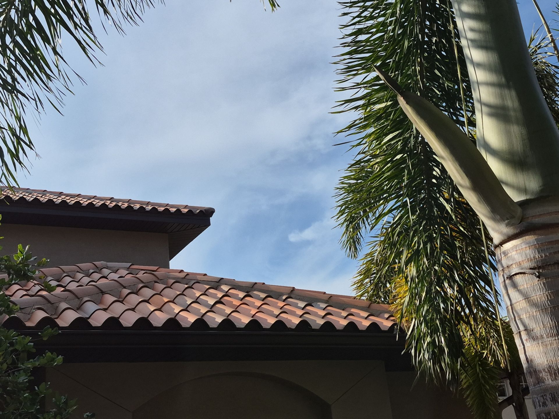 Project in Pinellas Park 33782 by Mitchell Roofing Company LLC