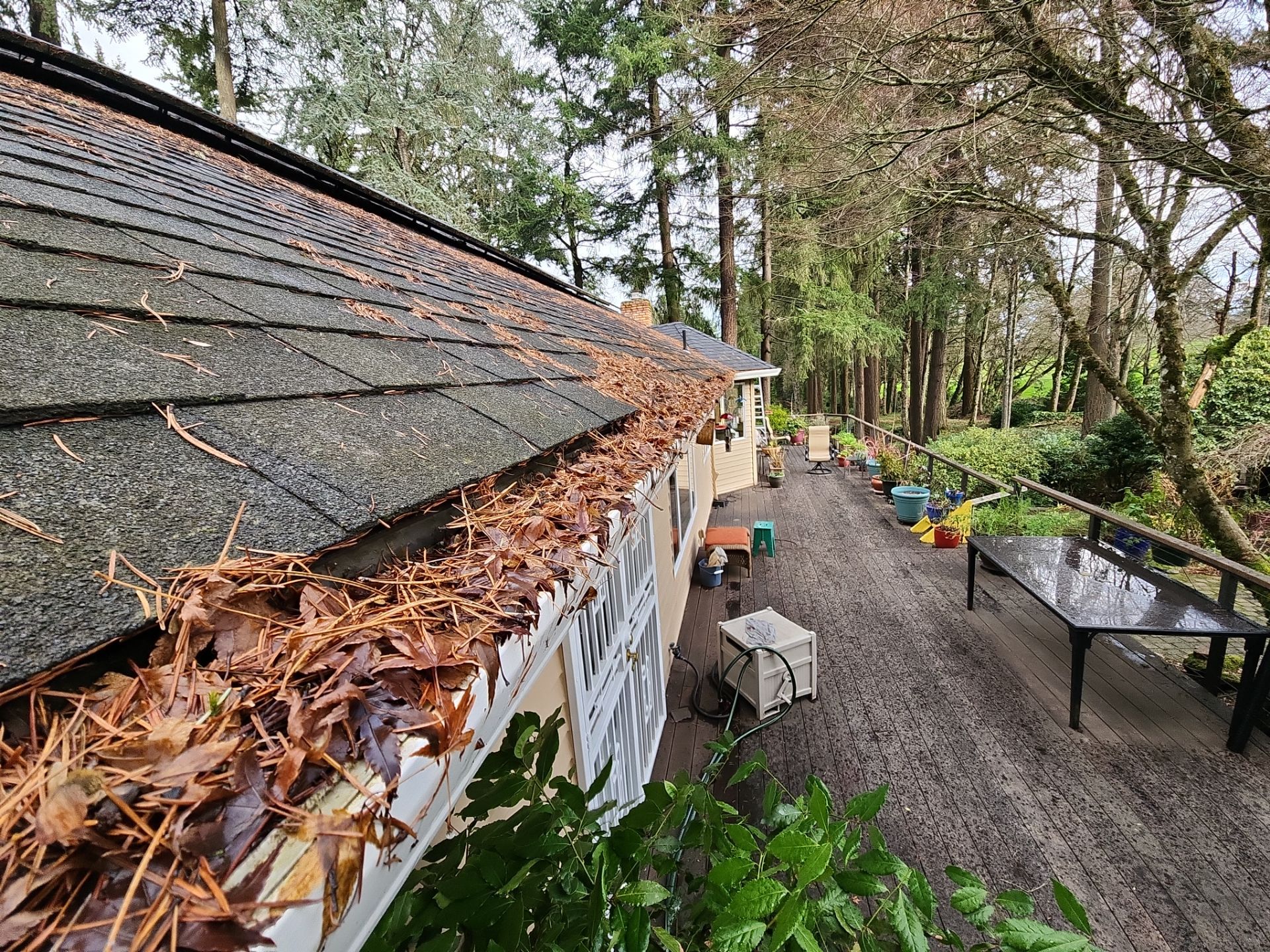 Home Claening Project in Lake Oswego by Cloud 9 Professional Cleaning Services