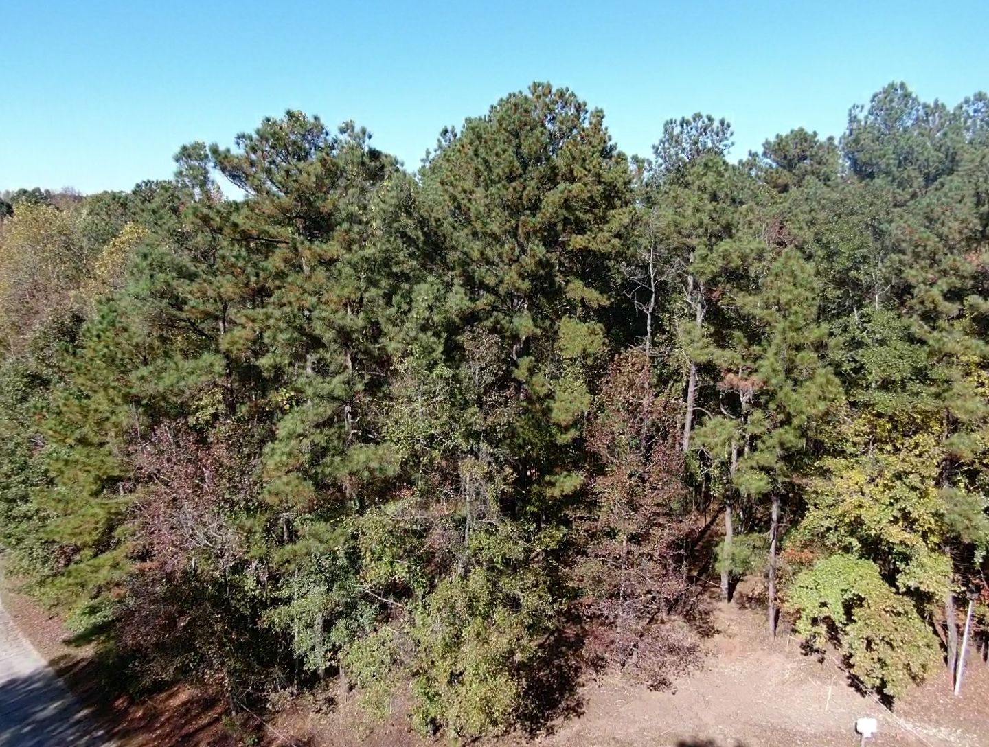 Hampton New Construction Coming Soon by Ajayi Design and Construction 