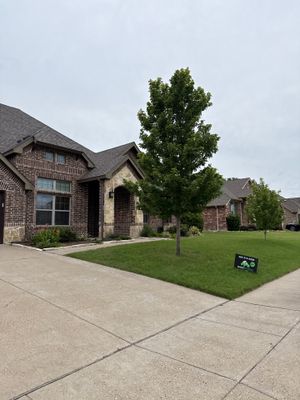Project in Wylie
