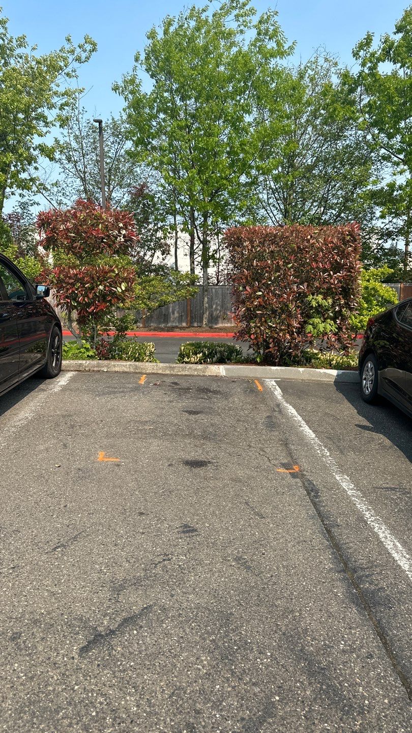 Les Schwab Tire Center | Everett WA  by Jireh Asphalt & Concrete Inc 