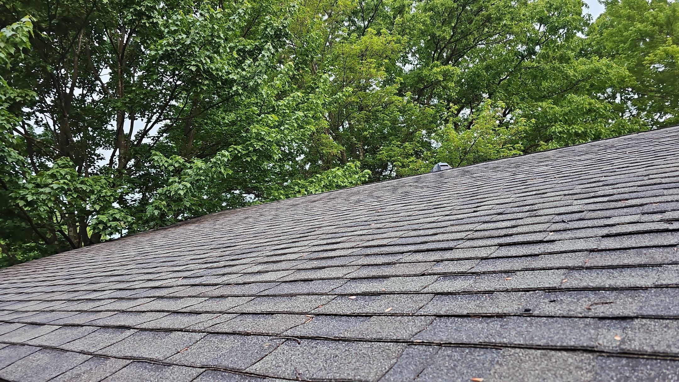 ATLAS PINNACLE HP W/SCOTCHGARD COLOR: HEARTHSTONE  by Eagle Eye Roofing