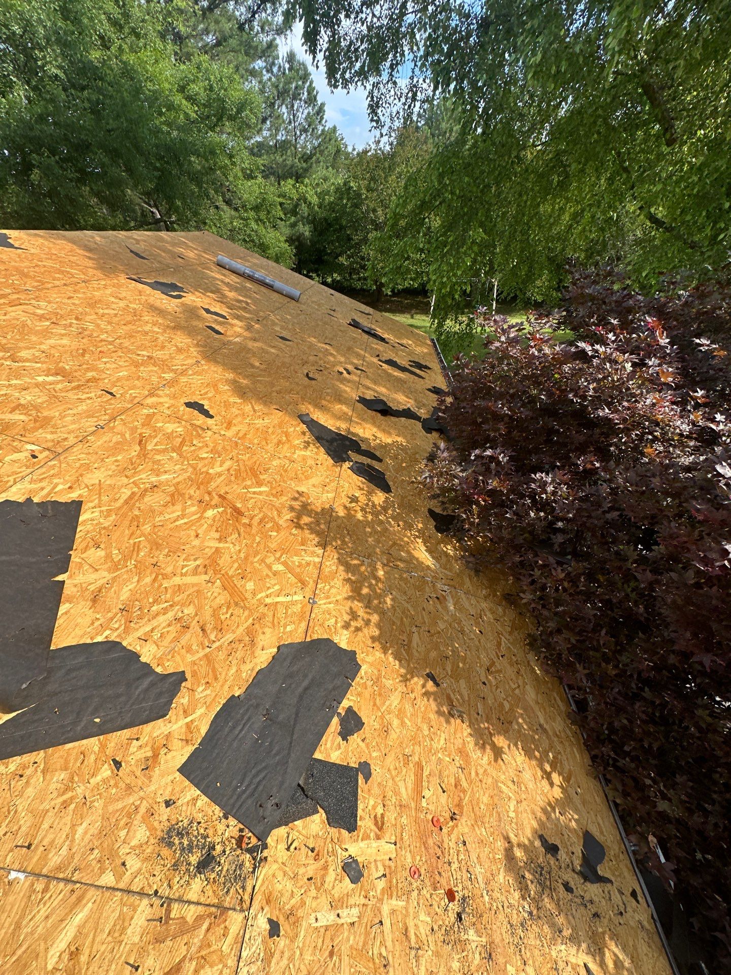 The Cutlips by United Contracting and Roofing