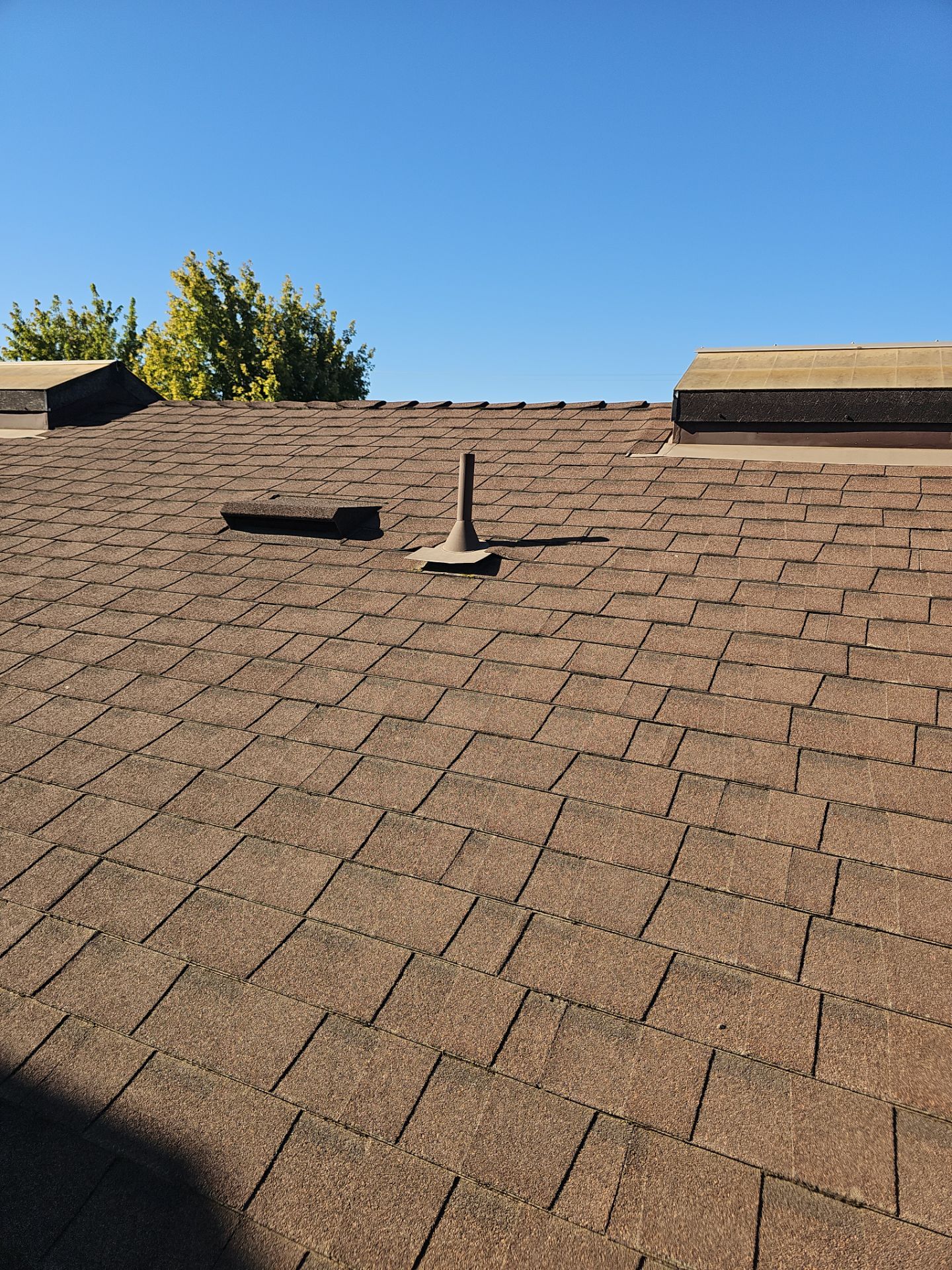 Reroof - Hinton Ave, Delhi by Econo Roofing